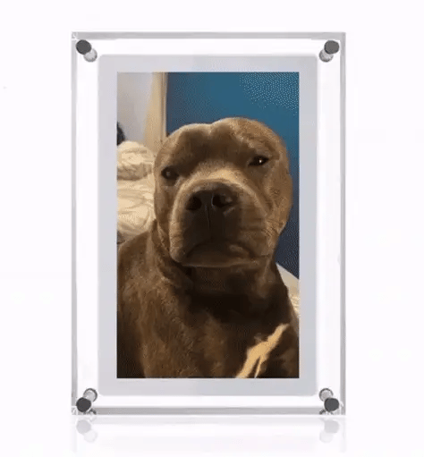 Forever Loop Frame